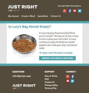 25+ Ecommerce Replenishment Email Templates and Examples - RetainIQ